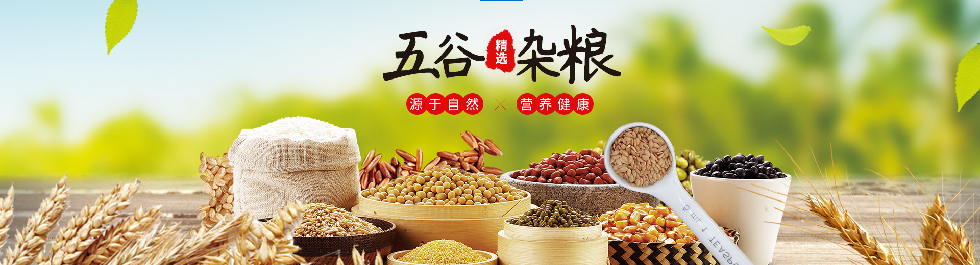 安阳县麻豆网址免费无码农业种植有限公司